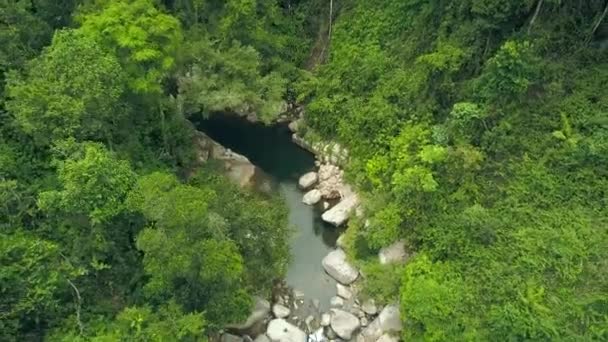Flowing tropical river and rocky waterfall in forest among green trees and plants. Drone view rocky river and tropical waterfall in wild rainforest. Wild nature aerial landscape.