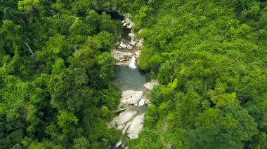 Tropik tropikal orman dron görünümü ile akan şelale. Anteni tropik şelale ve dağ gölü yeşil yağmur ormanlarında vurdu. Ormanda vahşi doğa.
