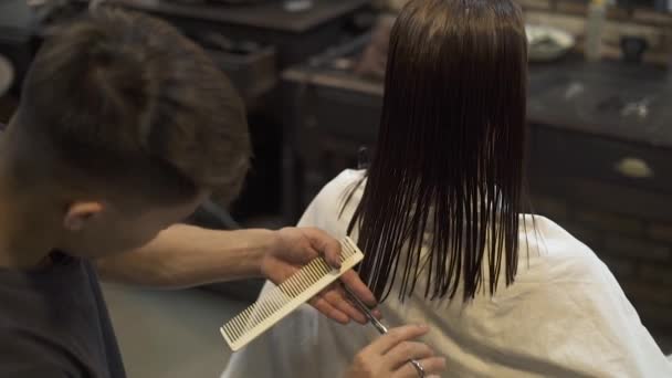 El hombre estilista cortar el pelo con tijeras en el estudio de peluquería. Peinado femenino en salón de belleza profesional. Peluquería haciendo corte de pelo de mujer en la peluquería. Belleza y cuidado . — Vídeo de stock