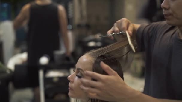 Coiffeur peignage cheveux femme humide dans le studio de beauté. Femme brune se faire couper les cheveux avec des ciseaux dans le salon de coiffure. Concept professionnel de coupe de cheveux féminine. Beauté et coiffure . — Video
