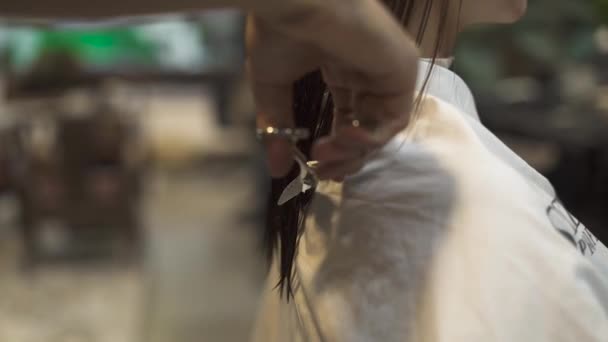 Kapper knippen haren met een schaar in de schoonheidssalon. Close-up Haarstylist doen vrouwelijke kapsel in de kapsalon. Beauty stylist met behulp van professionele kapper schaar in kapsalon. — Stockvideo