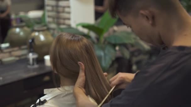 Haarstylist kammen van de lange haren van jonge womanwhile hairstyling in kapsalon. Vrouwelijke kapsel in de schoonheidssalon. Schoonheid en haar zorg concept. — Stockvideo
