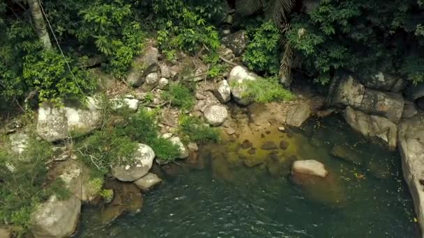 Aerial shot lake and stones in tropical forest. Green rainforest and lake water drone view. Tropical trees and green plant in jungle. Wild nature aerial landscape. — Stock Video