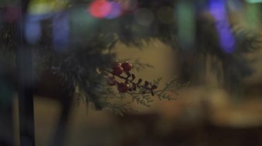 Pencere camına asılı şube yılbaşı ağacı ve kırmızı çilek kapatın. Dekoratif çam ağacı ve aydınlatma garland camına Noel tatili için.