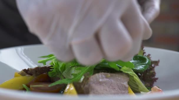 Chef cozinheiro decoração salada no restaurante de luxo. Design de alimentos e conceito de estilo. Mão cozinheiro cozinheiro cozinhar alimentos de perto. Cozinha molecular. Nutrição saudável . — Vídeo de Stock