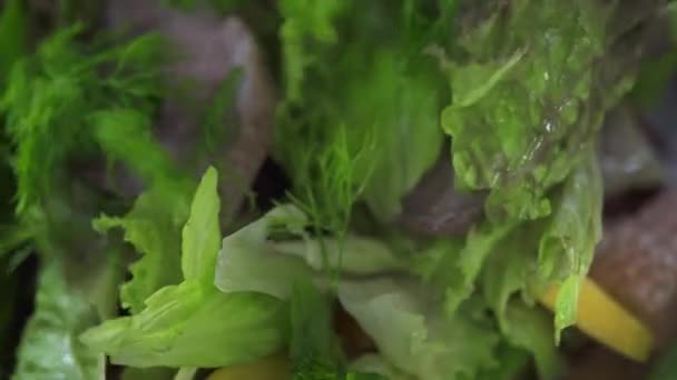 Salade mengen close-up. Handen van chef-kok koken mengen salade in kom. Proces voorbereiding vegetarische gerechten. Hoge keuken in luxe restaurant. Gezonde voeding. Dieet voeding. — Stockvideo
