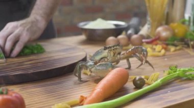Deniz ürünleri restoranı. Deniz Yengeç yemek pişerken mutfak masasının üstünde sürünerek. Deniz Gıda Restoran Akdeniz mutfağının canlı yengeç. Lüks yemekler için taze madde.