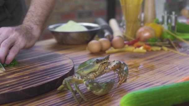 Kocken laga förbereder ingrediens för matlagning skaldjur i italiensk restaurang. Koka fånga levande krabba för matlagning i och skaldjursrestaurang. Frisk ingrediens medelhavsmat. Hög rätter. Lyx-menyn. — Stockvideo