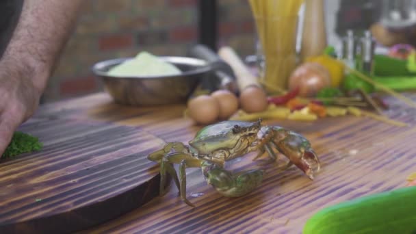 Zee krab kruipen op tafel in zeevruchten restaurant tijdens het koken van voedsel. Chef kok nemen zee krab voor het koken in visrestaurant. Verse ingrediënten voor Franse keuken. Luxe lekkernijen. — Stockvideo