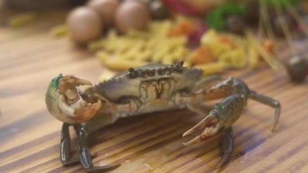 Närbild av levande krabba på köksbordet i och skaldjursrestaurang. Sea krabba i medelhavsrestaurang för skaldjursmeny. Frisk ingrediens för italiensk pasta. — Stockvideo