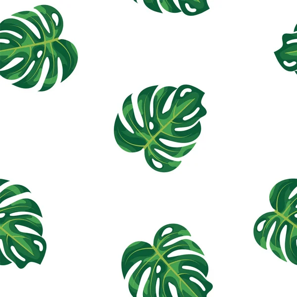 Patroon groene bladeren van tropische plant en boom op witte achtergrond. Groen blad monstera boom naadloze patroon achtergrond. Exotische regenwoudplanten. — Stockfoto
