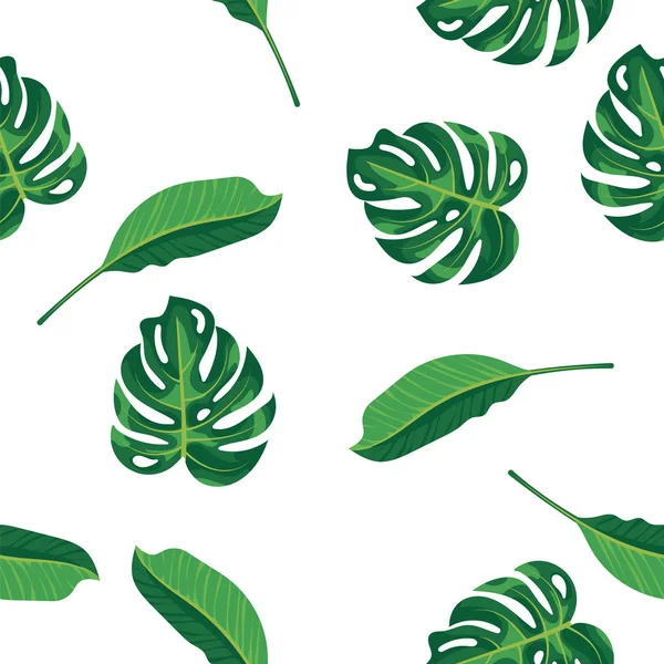 Pattern green leaves of tropical plant, palm and tree on white background. Seamless pattern green foliage monstera tree, natural background. Exotic rainforest plants and jungle garden. — Stock Photo, Image
