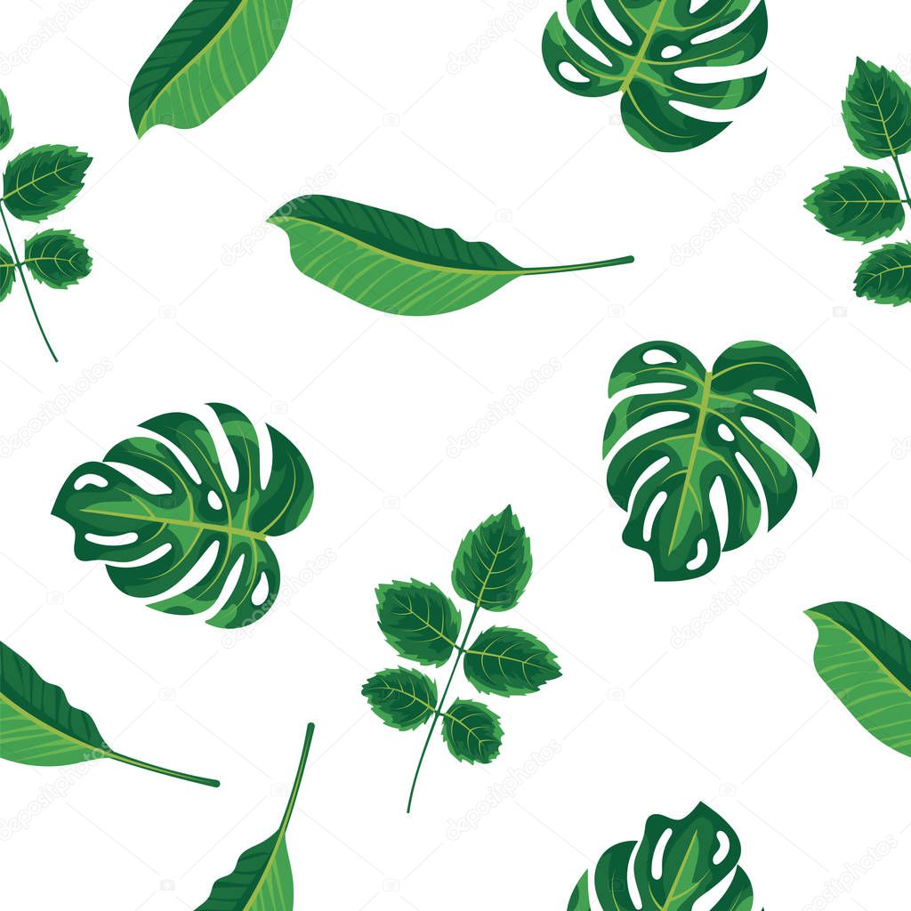 Foliage pattern of green tropical plant, palm and tree on white background. Seamless pattern green leaves monstera tree, natural background. Exotic rainforest plants, flora and nature concept.