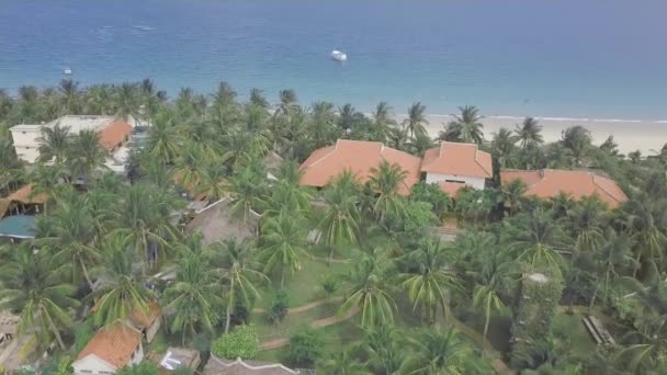Drone deniz plajı manzara görünümünde tatil otel topraklarında Yeşil palmiye ağaçları. Deniz sahilinde havadan tropikal palmiye, mavi deniz ve otel manzarası. — Stok video