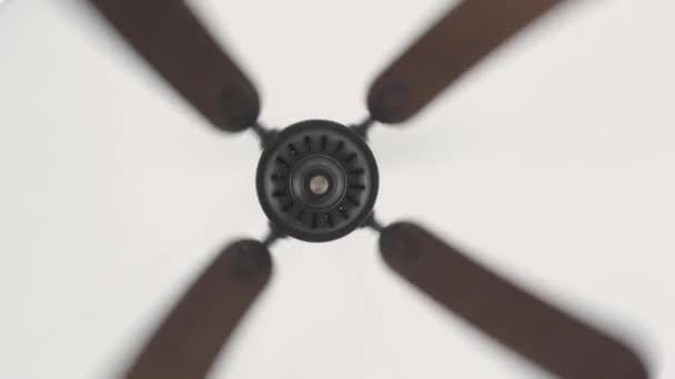 Ventilatore rotante sul soffitto bianco per la circolazione dell'aria da vicino. Ventilatore a soffitto elettrico per la ventilazione e il raffreddamento dell'aria negli interni domestici . — Video Stock