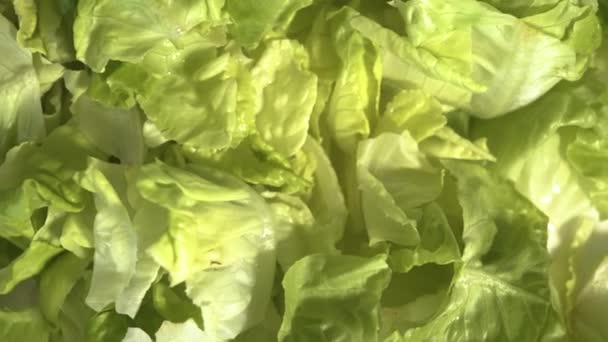 Frische Blätter Salat Hintergrund. Salatblätter aus nächster Nähe. vegetarische Biolebensmittel. Fitness und gesunde Ernährung. Vegane Ernährung und vegetarisches Ernährungskonzept — Stockvideo