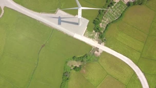 Wind turbine station on green field drone view. Alternative natural source and ecology conservation. Wind power generation. Green technology, clean renewable energy solution. Eco friendly concept. — Stock Video