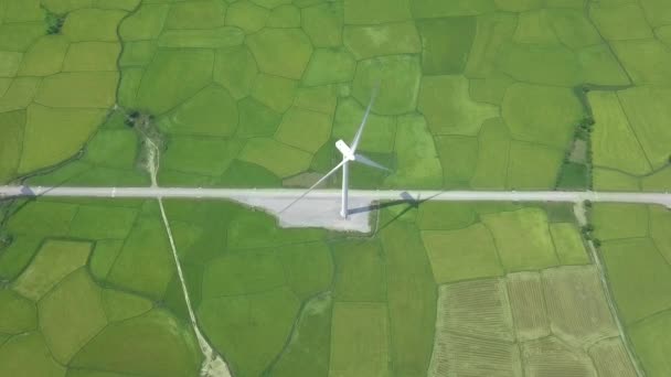 Drone View windturbine op alternatieve energie station op groen veld. Alternatieve natuurlijke bron en ecologie instandhouding. Wind energieopwekking. Groene technologie, oplossing voor schone hernieuwbare energie. — Stockvideo