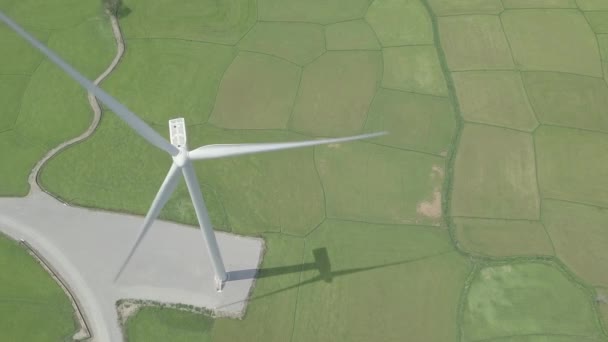 Turbina eólica en campo verde vista aérea. Generación de turbinas eólicas en la estación de energía vista desde arriba. Fuentes alternativas de energía, ecología y conservación del medio ambiente — Vídeo de stock