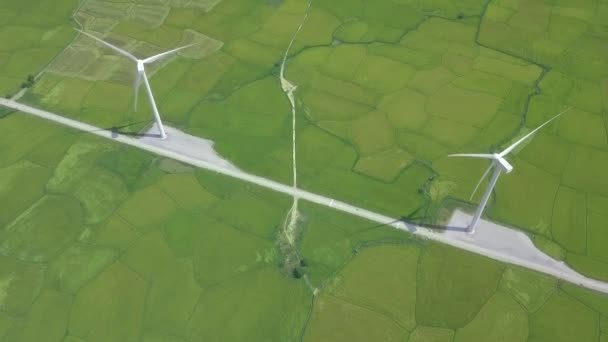 Éolienne sur champ vert vue de drone d'en haut. Source naturelle alternative et conservation écologique. Parc éolien paysage aérien. Technologie verte, solution d'énergie propre et renouvelable. Eco friendly . — Video