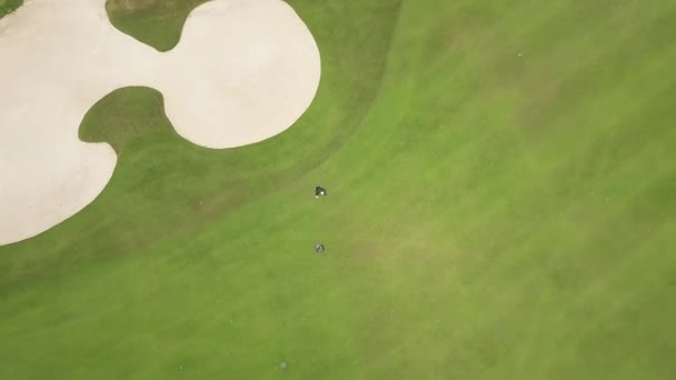 Гольфер играет в гольф на зеленом поле вид сверху с летающего дрона. Вид с воздуха людей, играющих на зеленом поле в гольф-клубе. Спорт и хобби — стоковое видео