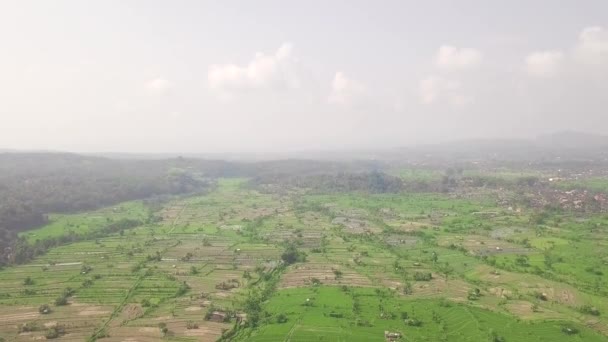 Yeşil pirinç terası havadan görünümü. Drone Asya köyünde kırsal alanda yeşil pirinç plantasyon görünümü. Tarım ve tarım kavramı. Mu Cang Chai, Vietnam. — Stok video