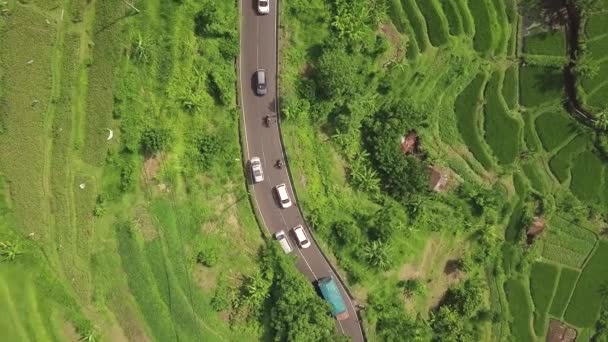Auto autostrada e campo di riso dall'alto drone volante. Vista aerea piantagione di riso verde nel villaggio asiatico. Industria agricola. Agricoltura e agricoltura. Paddy field a Bali, Indonesia . — Video Stock