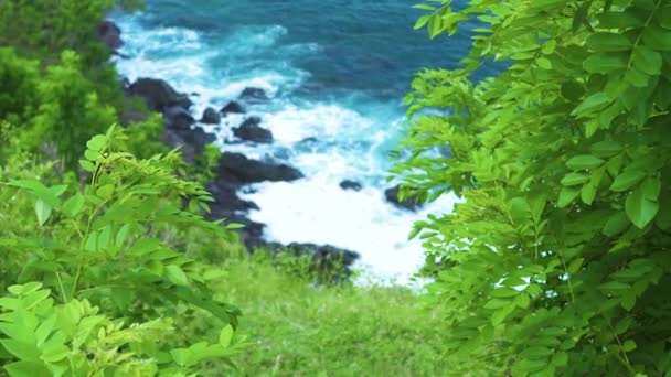 Piante Geen che crescono in blu onde del mare sfondo rottura a scogliera rocciosa. onde oceaniche ruvide spruzzi di schiuma a riva pietrosa sull'isola. Paesaggio naturale selvaggio . — Video Stock