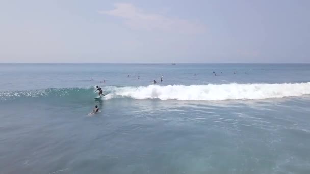 Surfistas surfando na prancha de surf em ondas azuis do mar em férias de verão vista aérea. Surf na ilha Bali oceano, Indonésia. Desporto aquático. Desporto extremo. Estilo de vida de férias tropical — Vídeo de Stock