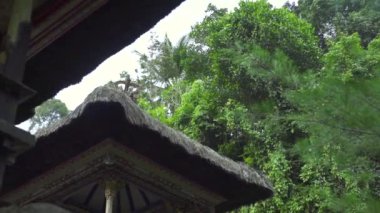 Yeşil tropikal ağaçlar peyzaj geleneksel Bali mimarisi Hindu tapınaklar. Bali, Endonezya antik geleneksel mimari. Asya kültürü. Seyahat konsepti.