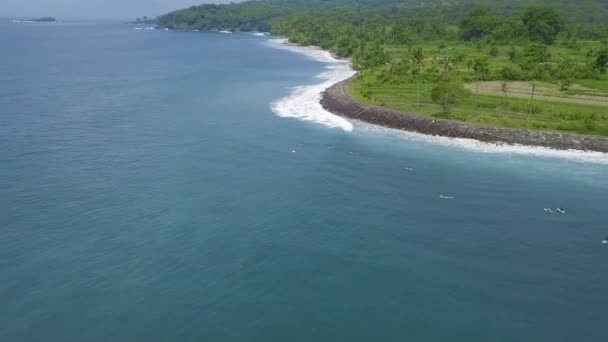 冲浪者在冲浪板上等待海浪在绿色热带岛屿的背景。在印度尼西亚巴厘岛海洋冲浪鸟瞰图。水上运动。极限运动。夏季活动. — 图库视频影像