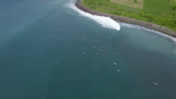 Surfistas surfando na prancha de surf em ondas azuis do mar em férias tropicais vista aérea. Surf na ilha Bali oceano, Indonésia. Desporto aquático. Desporto extremo. Estilo de vida férias de verão . — Vídeo de Stock