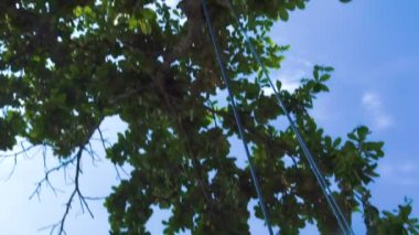 Deniz plajında Swing üzerinde mutlu bir kadın. Yaz tatili sırasında plaj salıncak sallanan genç kız. Eğlenceli tropikal tatil sahip. Genç mutlu insanlar yaşam tarzı. Yazlık plaj yaşam tarzı.