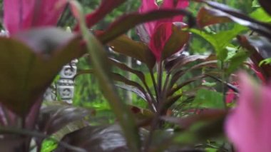 Bali Tapınak, Endonezya tropikal bitki arka plan üzerinde Endonezya Tanrı heykeli. Geleneksel Endonezya Hindu sembolü. Antik heykel dini idol. Bali manevi mimarisi. Turizm ve seyahat