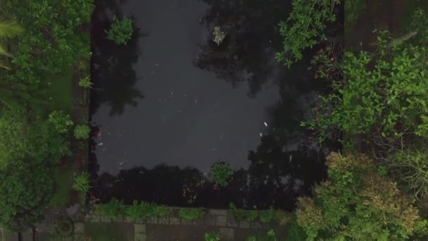 Vista aerea decorativo laghetto da giardino e carpa di pesce koi nuoto in acqua trasparente. Vista dal drone sopra carpa giapponese koi nuoto in stagno decorativo al giardino estivo . — Video Stock