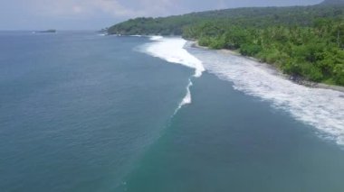 Havadan mavi deniz dalgaları ve yeşil tropikal ada manzara görünümü. Drone mavi okyanus dalgaları ve pirinç çeltik alanları görünümü. Bali, Endonezya.