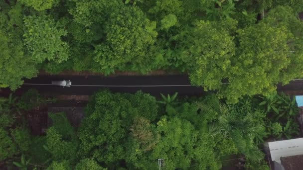 Vista aérea carro e moto equitação na estrada tropical. Drone ver carros e moto dirigindo na estrada em árvores tropicais verdes e plantas de fundo. Estrada através da floresta tropical Bali, Indonésia . — Vídeo de Stock