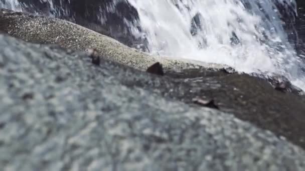 山の滝から流れる川に石を踏む男性の足。旅の中で岩山の川に沿って歩く靴の男性の足。旅行、トレッキング、観光. — ストック動画