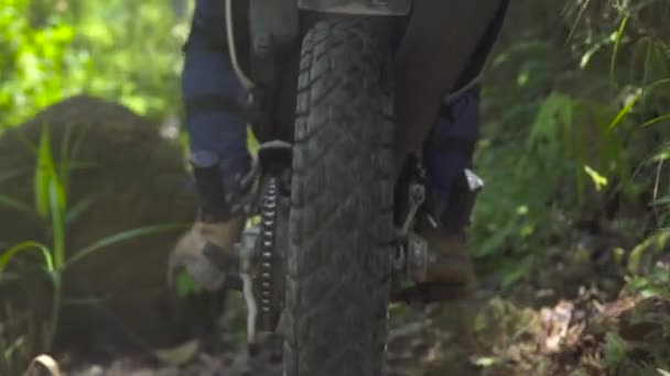 Мотоциклист едет на мотоцикле в летний лес. Мото байкер едет на мотоцикле по лесной тропе. Мото спорт и путешествия. Мотоцикл . — стоковое видео