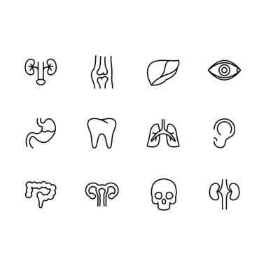 İnsan iç organları simgeler oluşturur. Tıbbi anatomik semboller. Modern fizyolojik kavramsal işaretler koleksiyonu. Anatomi elementleri çizimi. Halk Sağlığı Simgeleri.
