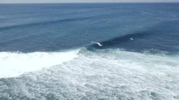 Sörfçülerle sörf yaparken ve denizde kürek çekerken havadan çekilen dalgalar.. — Stok video
