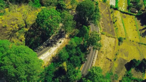 Top down skott på kurvig väg på landsbygden med fordon som gör svängar. — Stockvideo