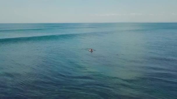 Strzał z powietrza nad surferem wiosłującym i ujeżdżającym wielką beczkę fal w oceanie — Wideo stockowe
