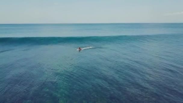 Okyanusta bir sörfçü, sörf tahtasında durur ve dalgalarda sörf yapar.. — Stok video