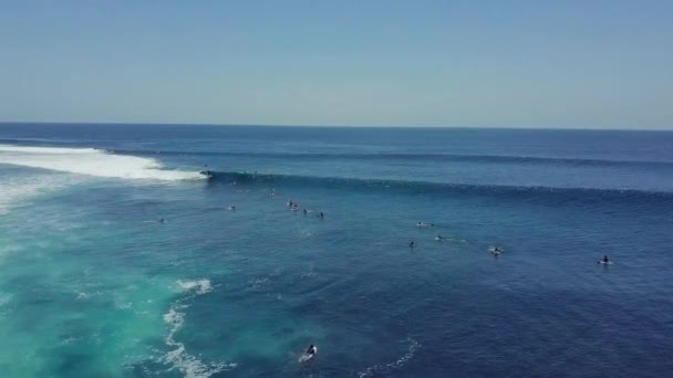 Lucht vliegen over een blauwe oceaan met groepen surfers peddelend over de golven. — Stockvideo