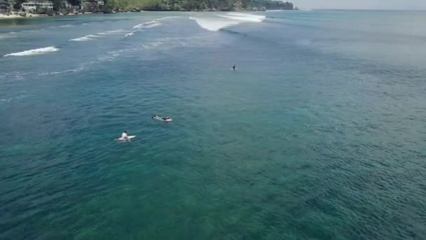 A szörfdeszkán lebegő szörfösök a kék óceánon pihennek nyáron.. — Stock videók