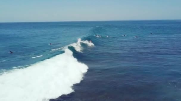 Ομάδα surfers κάνει ακροβατικά surf και απολαμβάνει ιππασία τα κύματα το καλοκαίρι. — Αρχείο Βίντεο