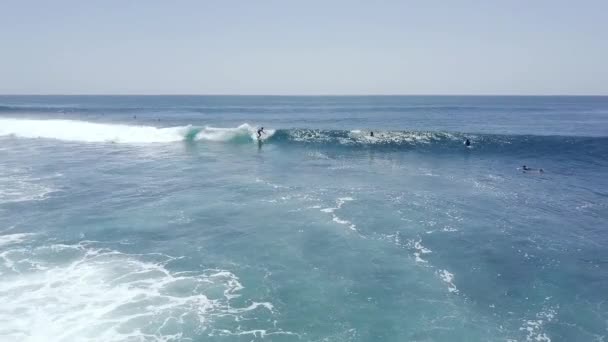 Jonge deskundige surfers genieten van het rijden op de perfecte grote golven in smaragdgroene oceaan in de zomer. — Stockvideo