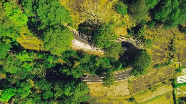 Сверху вниз по извилистой дороге в сельской местности с машинами, делающими повороты . — стоковое видео