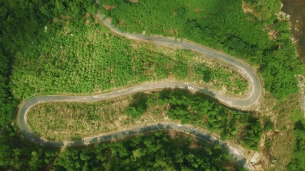 Vista de cima para baixo da estrada rural sinuosa com floresta verde e plantas tropicais . — Vídeo de Stock